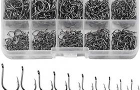 Jinlaili Hameçon de Pêche, 600 PCS Hameçons Barbelés en 10 Tailles, Crochets de Pêche, Hameçon à Carpe en Acier Carbone avec Boîte Plastique, 3# - 12#