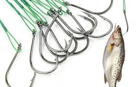 Basetousual 50 pièCes D'Accessoires de PêChe pour Hameçon de Pêche en Acier au Carbone, HameçOns BarbeléS, AdaptéS à la PêChe à la Carpe, au Brochet de RivièRe Et D'OcéAn, au Saumon, à la Perche Basetousual 50 pièCes D'Accessoires de PêChe pour Hameçon de Pêche en Acier au Carbone, HameçOns BarbeléS, AdaptéS à la PêChe à la Carpe, au Brochet de RivièRe Et D'OcéAn, au Saumon, à la Perche