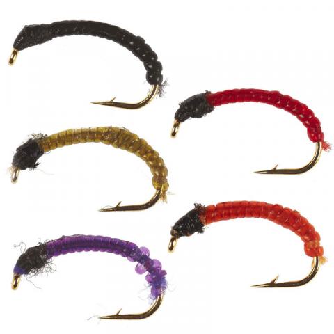 Gambe coregone vertigone 5 nymphes gds