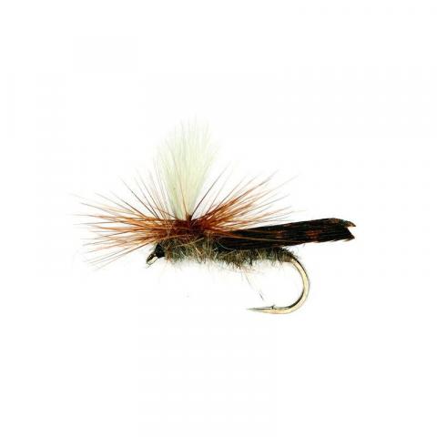 Mouche sèche silverstone sedge parachute h12 (x3)