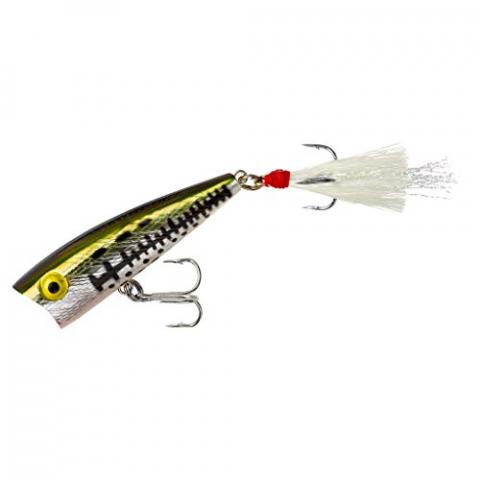 Rebel Leurres Teeny Pop R Leurre de pêche, P5017, OL' Bass, 2 - inch