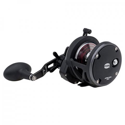 PENN Warfare Stard Drag Moulinet à Tambour Tournant pour la Pêche Lourde en Mer, Pêche au Jig, Pêche Sur Épave, Lieu, Pagre, denti, Sériole, Requin