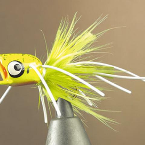 Mouche jmc popper bass 50 popper h10