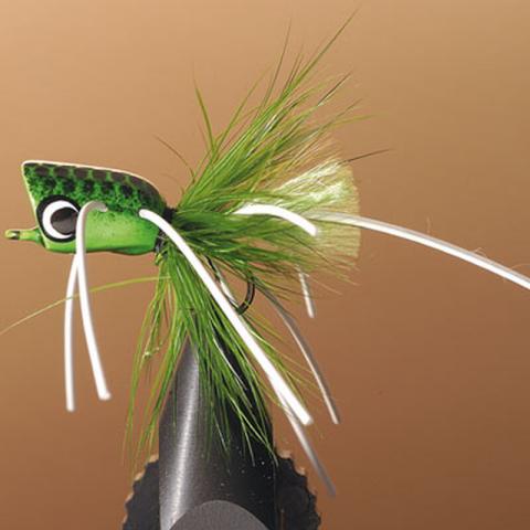 Mouche jmc popper bass 23 t8