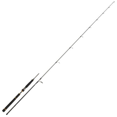 Canne lancer Daiwa Black Gold Seabass 732 2.21m 14-42g (2 brins)