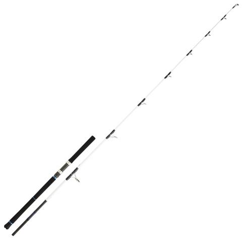 Canne lancer Daiwa saltist 862xh 2.59m 50/130g