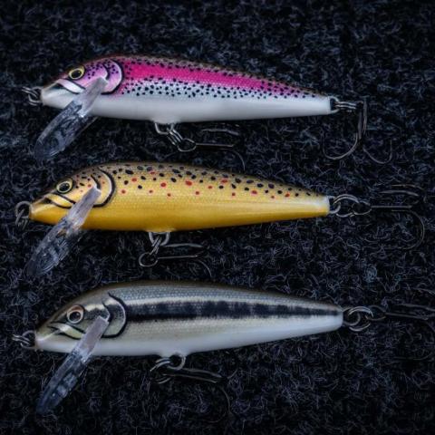 Kit poisson nageur Truite Rapala CD05 ARTISTIC